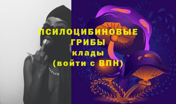 бутират Алексеевка