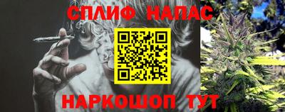 стаф Рязань