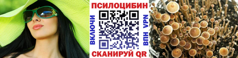 Галлюциногенные грибы GOLDEN TEACHER  Глазов 