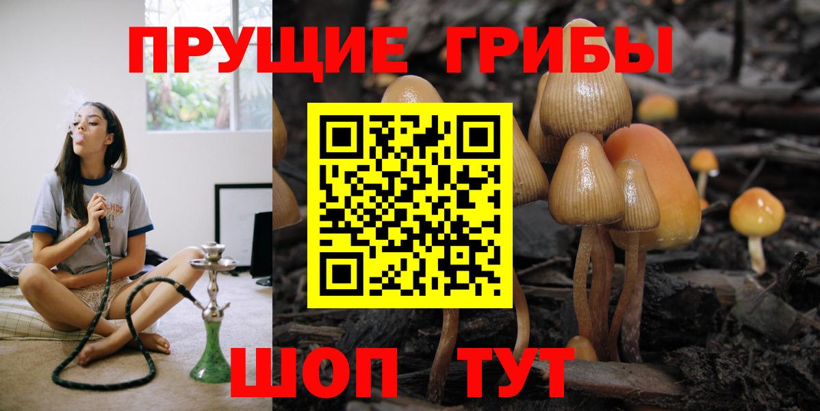 Глазов  Галлюциногенные грибы мицелий  Вход с VPN 